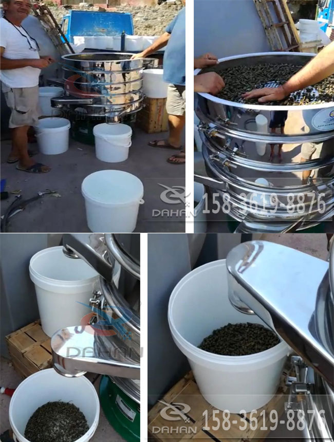 酸豆振動篩分機試機效果展示 酸豆振動篩分機試機效果展示