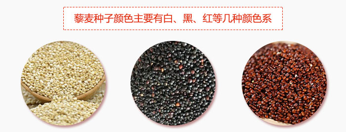 藜麥種子顏色主要有白、黑、紅等幾種顏色系，營養成分相差不大，其中白色口感好，黑、紅色口感相對差些，籽粒也較小。